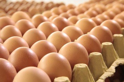 营口鸡蛋检测价格,鸡蛋检测机构,鸡蛋检测项目,鸡蛋常规检测